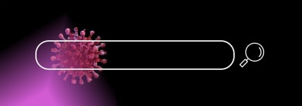 البحث في الموقع